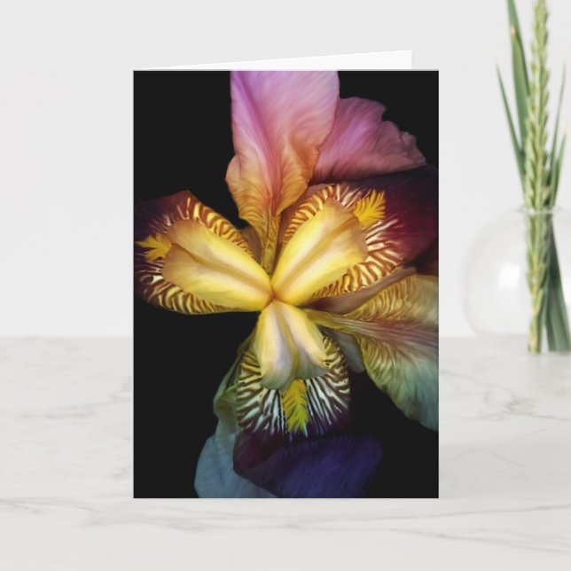 Toms Irises  Card (Front)