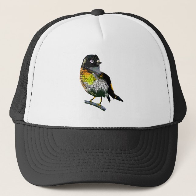 Tomtit Miromiro Trucker Hat (Front)