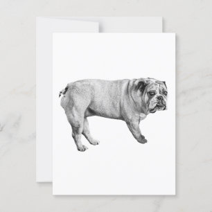 Tonal Bulldog Postcard