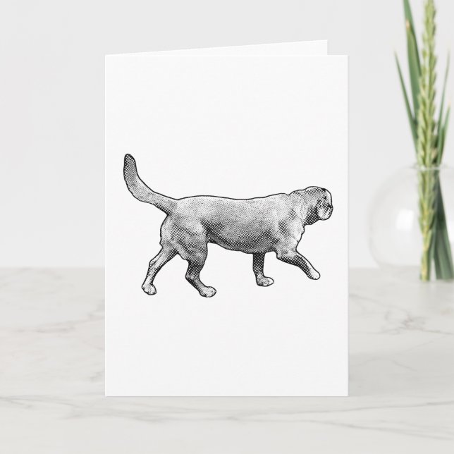 tonal calm walk card (Front)