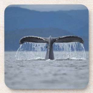 Tongass National Forest, Humpback Coaster