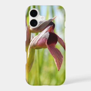 Tongue Orchid iPhone Case