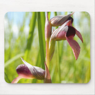 Tongue Orchid Mouse Mat