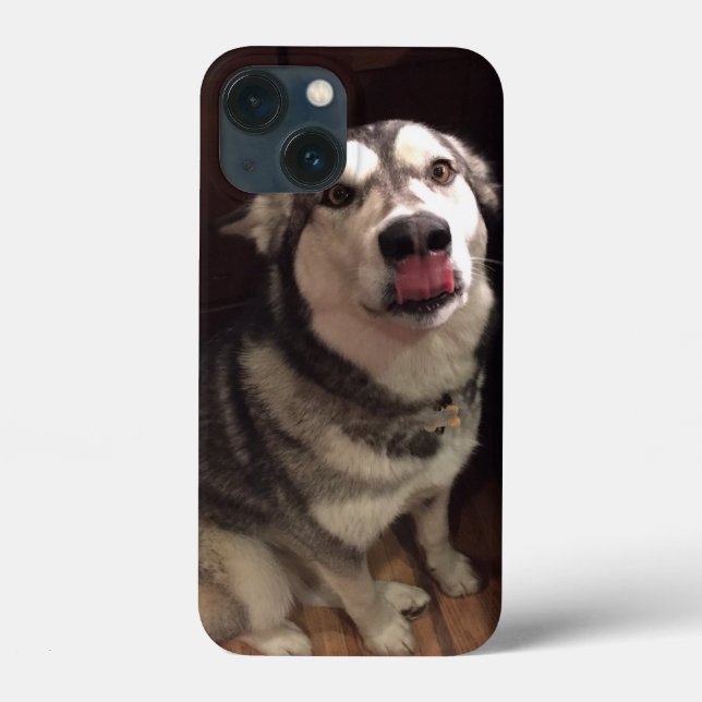 Tongue Teasing Alaskan Malamute Photograph Case-Mate iPhone Case (Back)