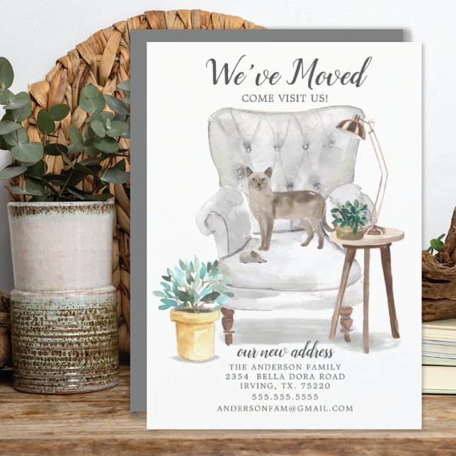 Tonkinese Cat Moving Announcement (Creator Uploaded)