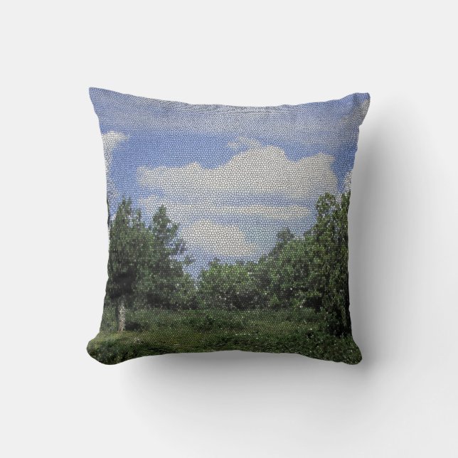 Tonto National Forest Photo Mosaic Landscape Cushion (Front)