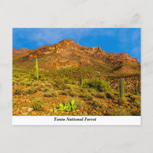 Tonto National Forest Postcard