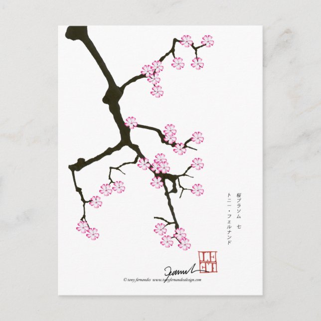Tony Fernandes sakura lucky 7 Postcard (Front)