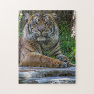 Tony Jigsaw Puzzle
