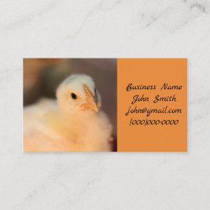 Too cute business card