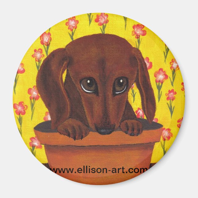 Too Cute Dachshund Puppy Magnet (Front)