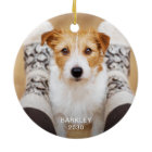 Too Cute For Naughty List Funny Dog Pet Photo