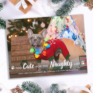 Too Cute For Naughty List Funny Dog Pet Photo Holi Postcard