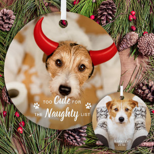 Too Cute For Naughty List Funny Dog Pet Photo Metal Tree Decoration