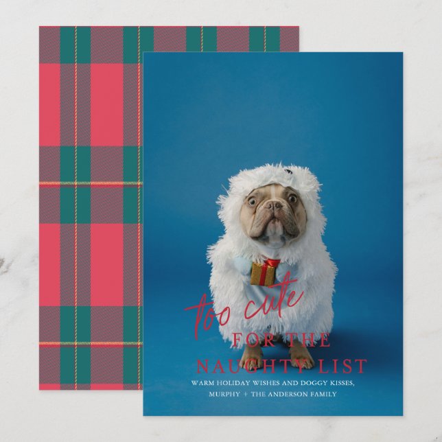 Too Cute for the Naughty List Pet Photo Holiday  Invitation (Front/Back)