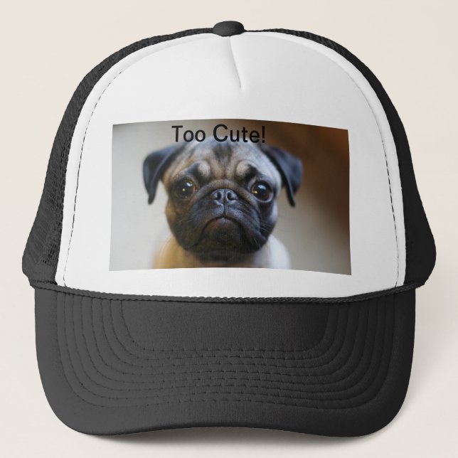 Too Cute! Hat (Front)