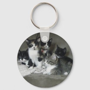 Too Cute Kittens Key Ring