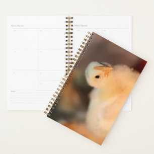 Too cute planner