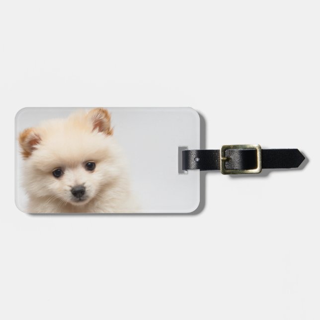 Too Cute Pomeranian Luggage Tag (Front Horizontal)