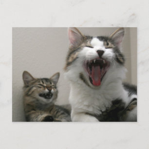Too Funny postcard