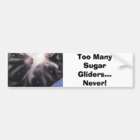 Too Many Sugar Gliders...