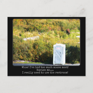 Too much meat funny bear postcard