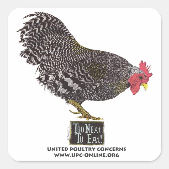 Too Neat To Eat! - Rooster Square Sticker (Front)