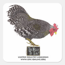 Too Neat To Eat! - Rooster