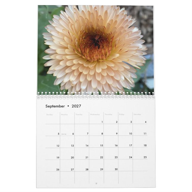 TooleyWoods 2023 Calendar (Sep 2027)
