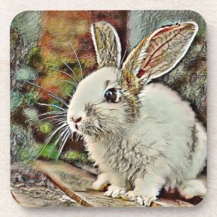 toony bunny coaster