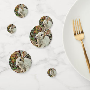 toony bunny confetti