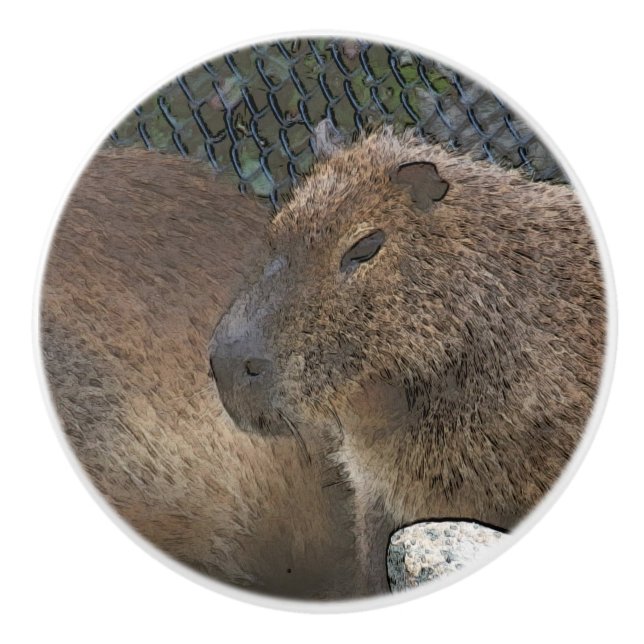 toony Capibarah Ceramic Knob (Front)