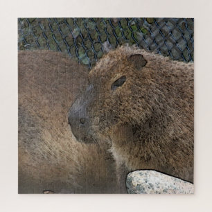toony Capibarah Jigsaw Puzzle