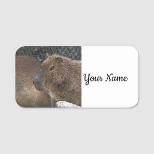 toony Capibarah Name Tag