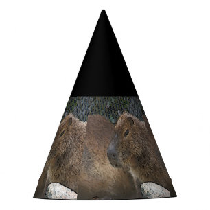 toony Capibarah Party Hat
