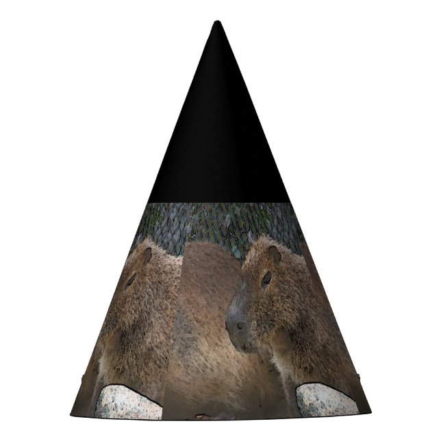 toony Capibarah Party Hat (Front)