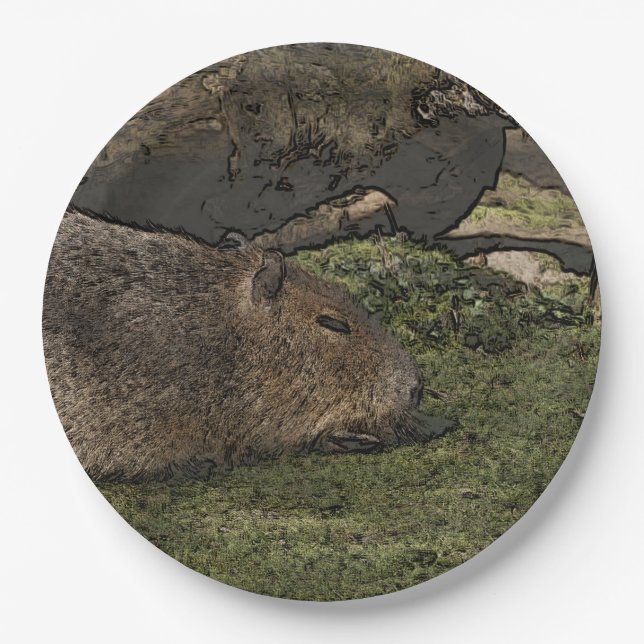 toony capy 2 paper plate (Front)