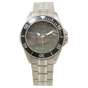 toony capy 2 watch