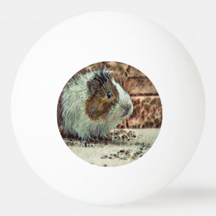 toony guinea pig ping pong ball