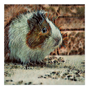 toony guinea pig poster