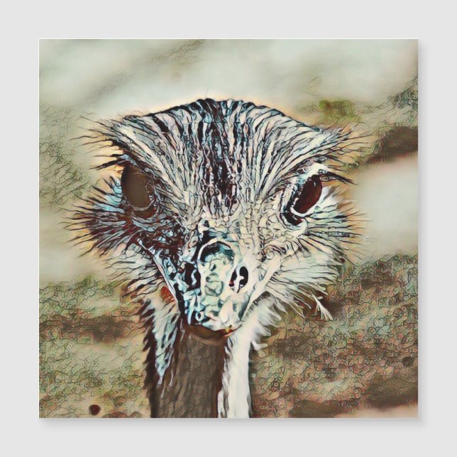 toony ostrich (Front)