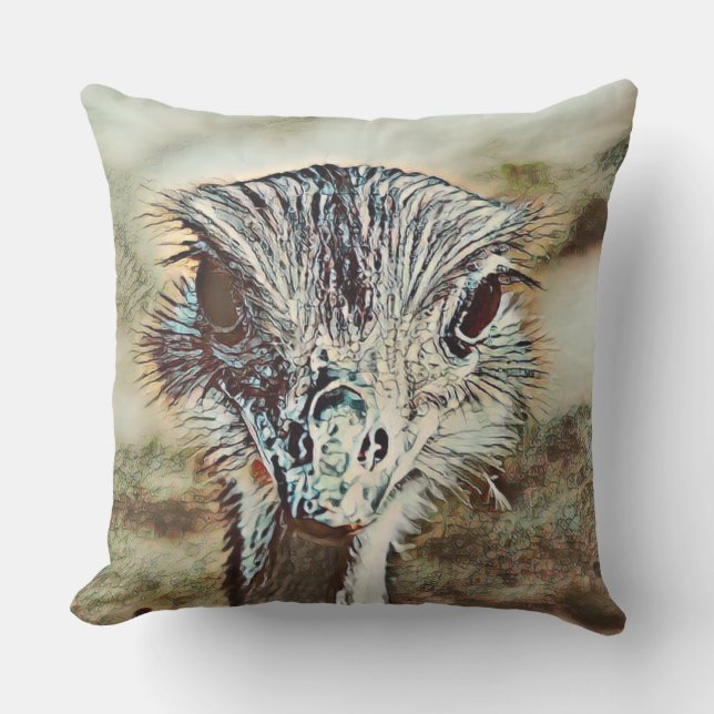 toony ostrich cushion (Front)