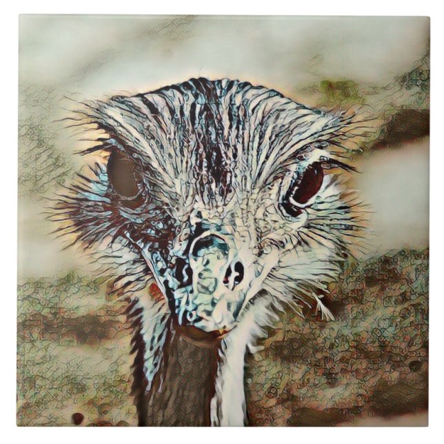 toony ostrich tile (Front)