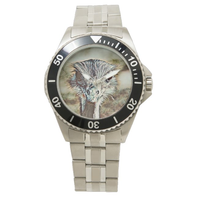 toony ostrich watch (Front)