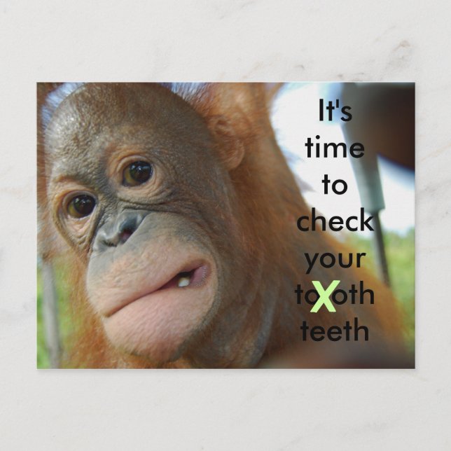 Tooth Care : Dentist Appointment Reminder Postcard (Front)