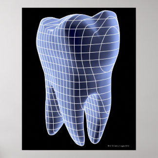 Tooth, computer artwork of a molar tooth poster