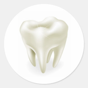 Tooth illustration classic round sticker