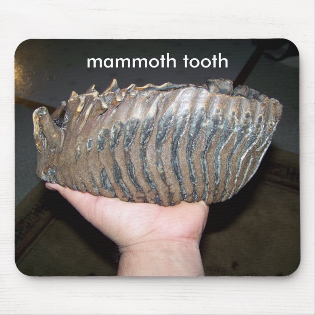tooth, mammoth tooth mouse pad (Front)