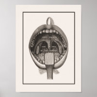 Toothbrushing Wall Poster