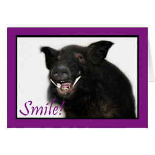 Toothy Hog Smile